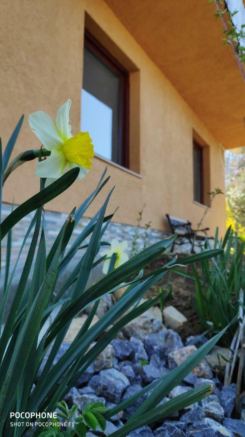 Apartment Smaragd River Near Rastoke & Plitvice Lakes Slunj