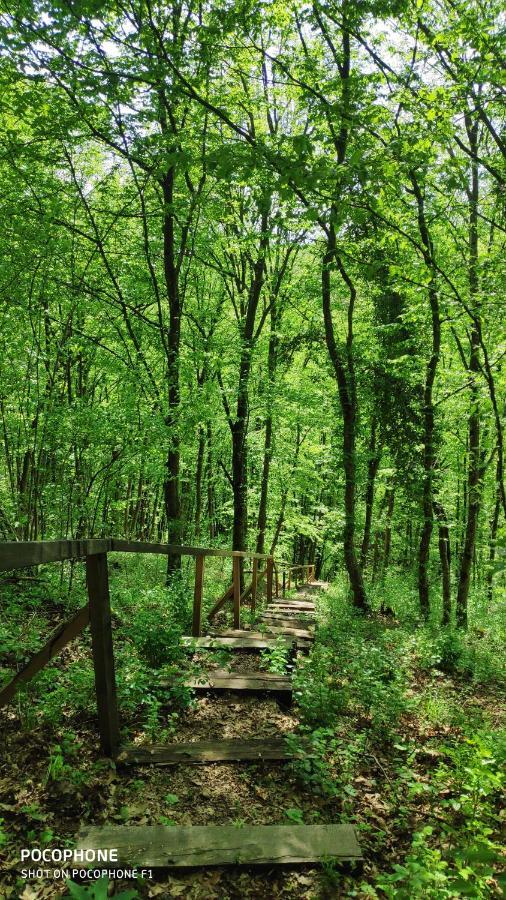 Apartment Smaragd River Near Rastoke & Plitvice Lakes