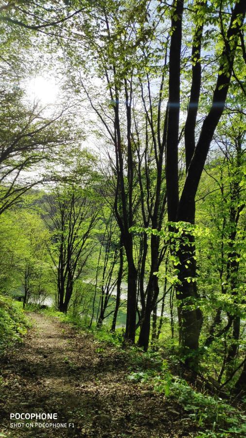 Smaragd River Near Rastoke & Plitvice Lakes *
